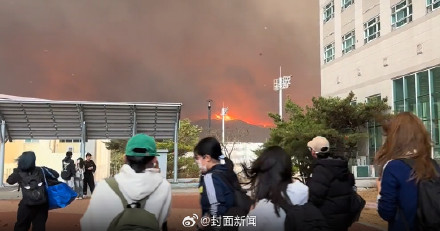 韩国山火已致27死 在韩中国留学生连夜逃离重灾区