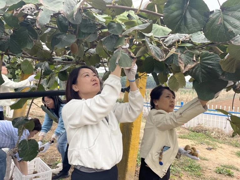 杏彩体育登录王思思：留学归来土里掘金