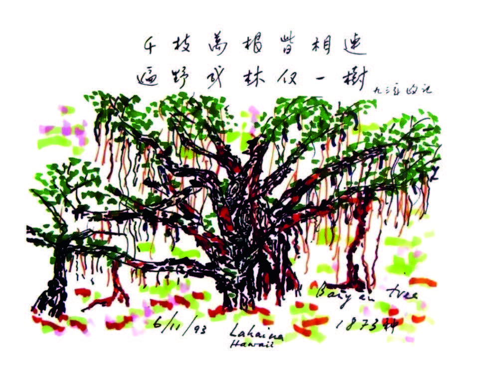 手绘的大榕树.jpg