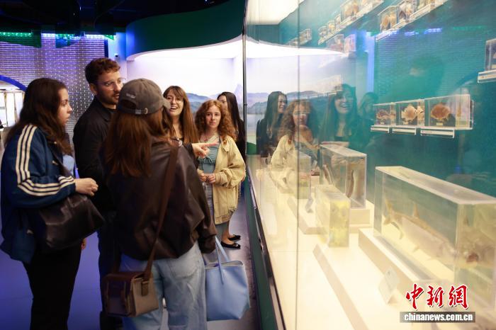 多国留学青年走进浙江丽水 沉浸式感受侨乡发展新貌(图1)