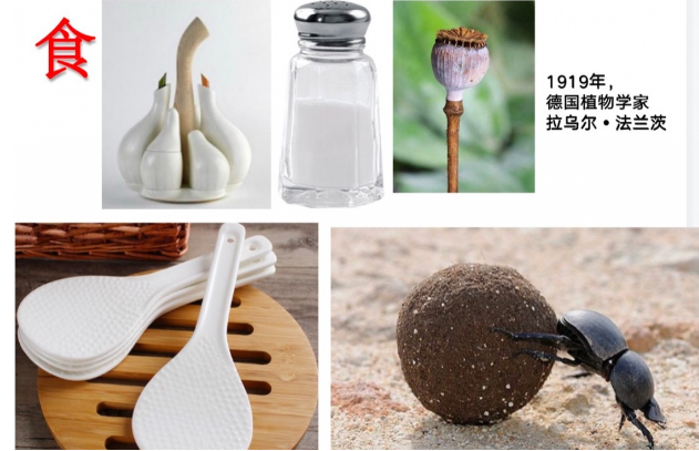 微信截图_20210201102604.png 微信截图_20210201102604.png