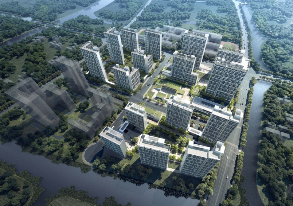 上海：在浦东青年人才与城市发展正双向奔赴(图3)